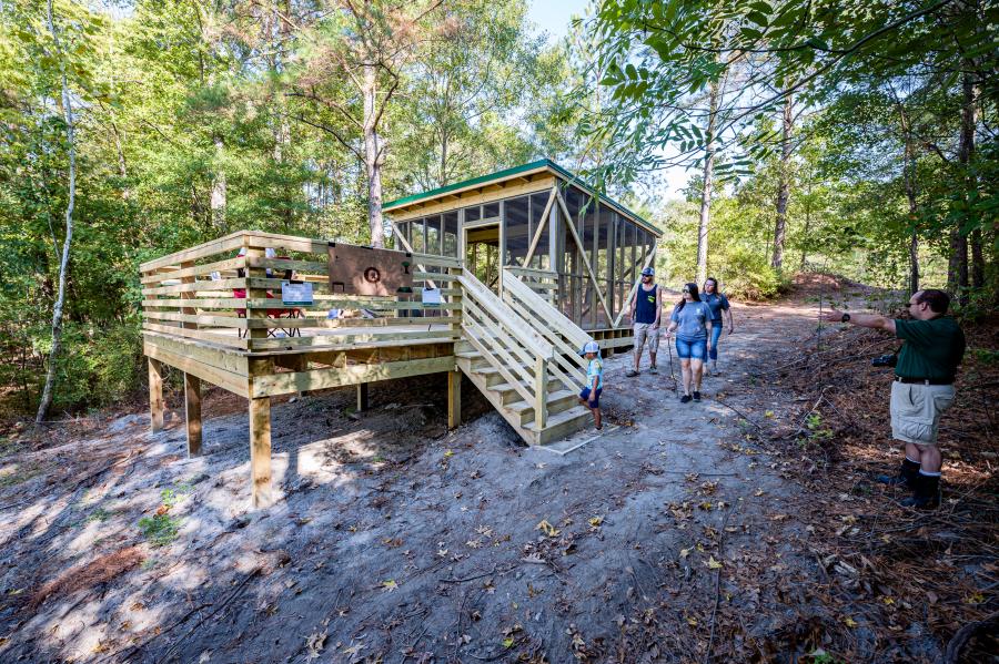 Wildwood Camping