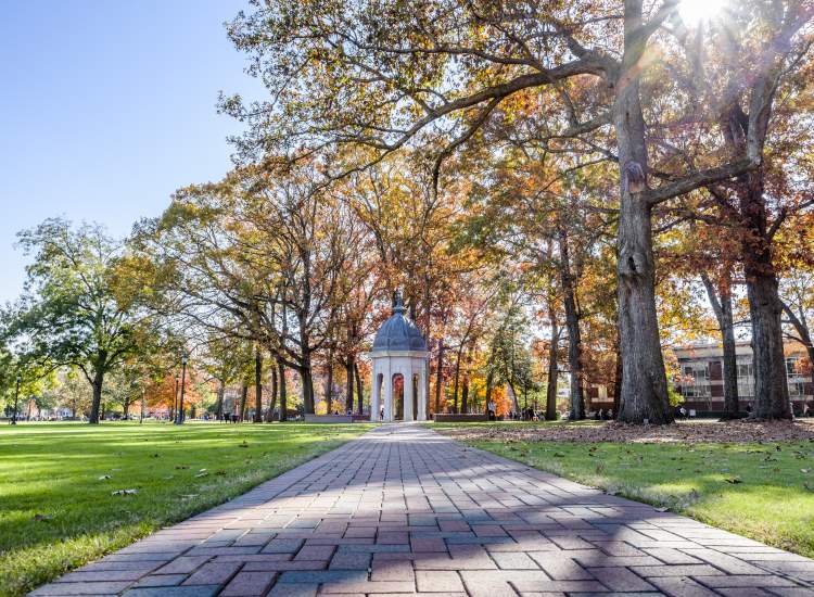 ECU