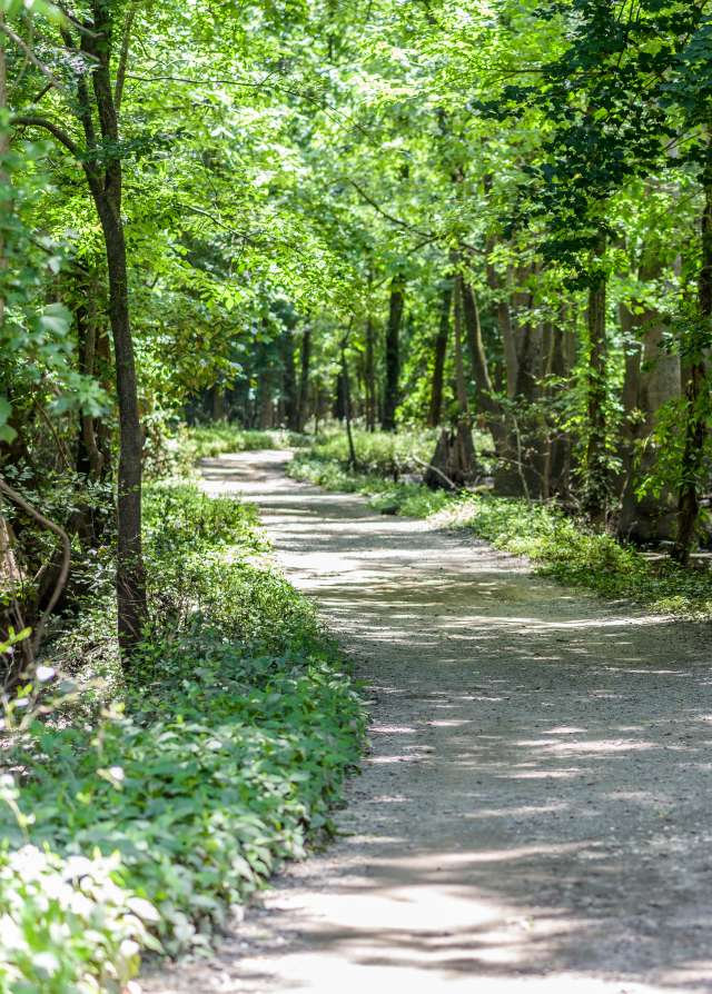 River Park North Camping Trail